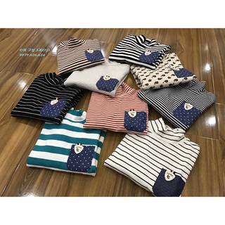 Áo cotton len cổ 3f HM