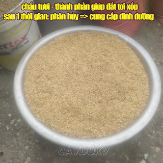 1 kg đất sạch trồng cây cảnh mini (Hỗn hợp đất trộn TRIBAT trồng rau sạch trong chậu)
