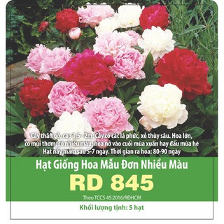 Hạt Giống Hoa Mẫu Đơn Kép Mix Nhiều Màu Gói 5 Hạt Xuất Xứ Đức