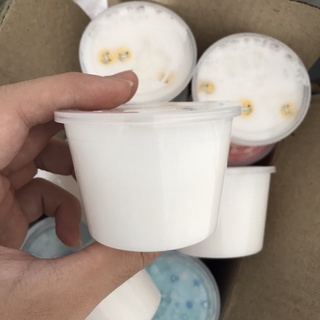 Slime Basic Nhiều Màu