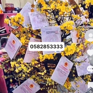 shops gia dụng theo mùa