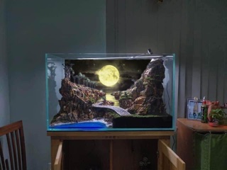Tranh 3D hồ cá