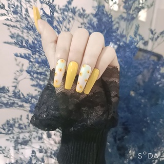 Nail box móng úp giá rẻ