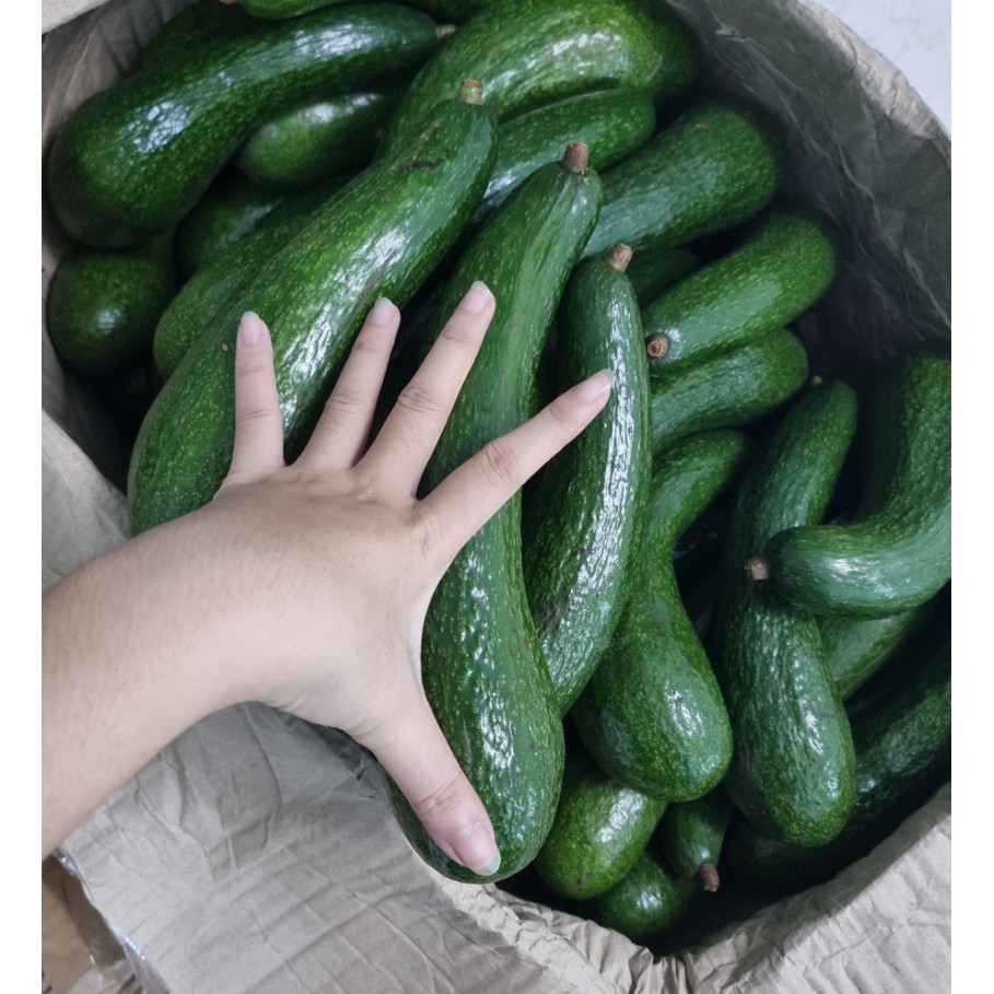 [HCM]- Bơ 034- Mềm dẻo, béo thơm | BigBuy360 - bigbuy360.vn