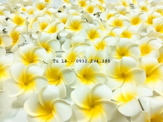 KẸP HOA SỨ 7cm