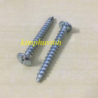 5x40mm - 100 con VÍT GỖ ĐẦU DÙ