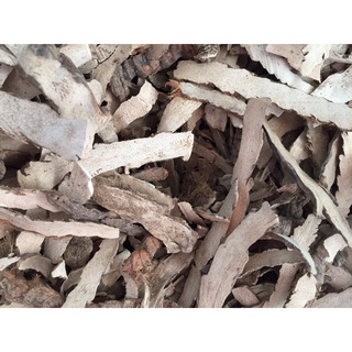 Củ bồ bồ phơi khô 500 gam