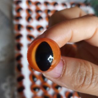 Mắt Thú - Mắt Mèo