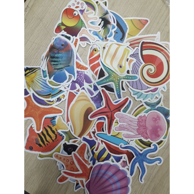 (bán sỉ) SET 50 STICKER DÁN MŨ BẢO HIỂM PVC CHỐNG THẤM NƯỚC