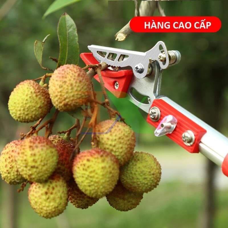 Kéo hái kẹp hoa quả, kéo cắt cành trên cao, Hái quả trên cao và cắt cành trên cao tiện lợi, sử dụng tiện ích hiệu quả.