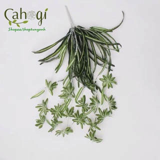 Cây Giả - Cây Lan Chi Rủ