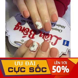 Hoa cúc nhọn - Hoa bột nail