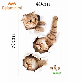 Decal dán tường hình mèo 3D dễ thương