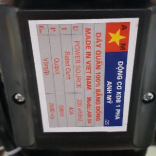 Máy xay thịt công nghiệp 900W