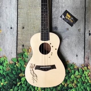 Đàn ukulele concert mt-800 cb1