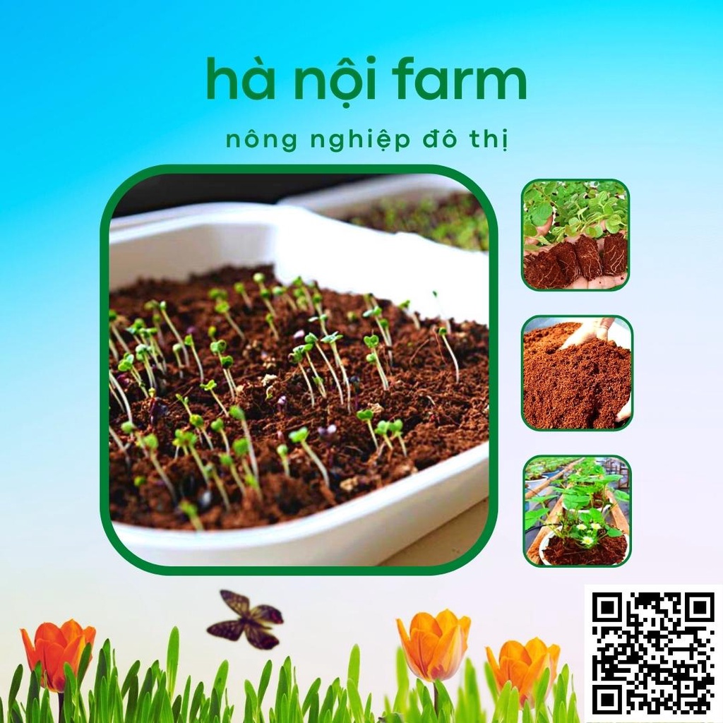 Viên nén xơ dừa, Đất nén xơ dừa tơi xốp trồng rau mầm - 500g