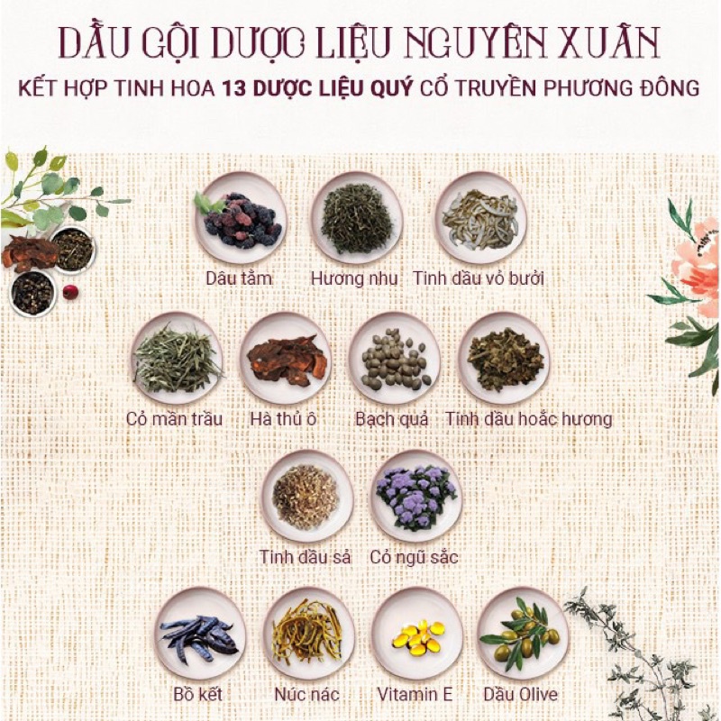 Dầu gội dược liệu Nguyên Xuân dạng vòi 250ml xanh-vàng