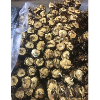 ☘️ Sâu(xiên) nấm hương rừng 200g ☘️