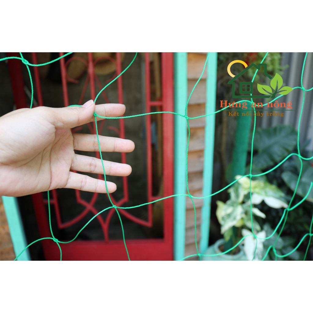 Lưới giàn leo cho tất cả cây thân leo, mỗi ô kéo giãn 10cm - có 4 size chọn
