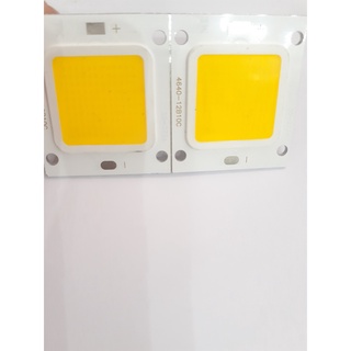 Chip led COB 50w 32v ánh sáng trắng