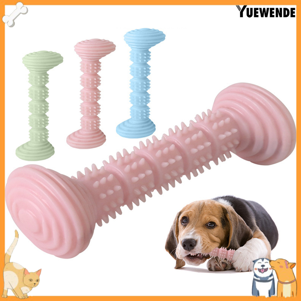 Bàn Chải Đánh Răng Đồ Chơi Cho Thú Cưng