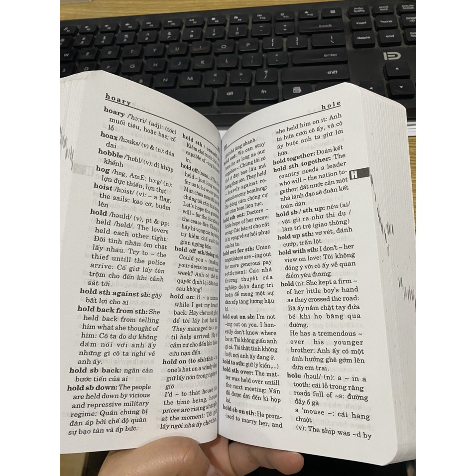 Sách - Từ điển anh việt 330000 từ