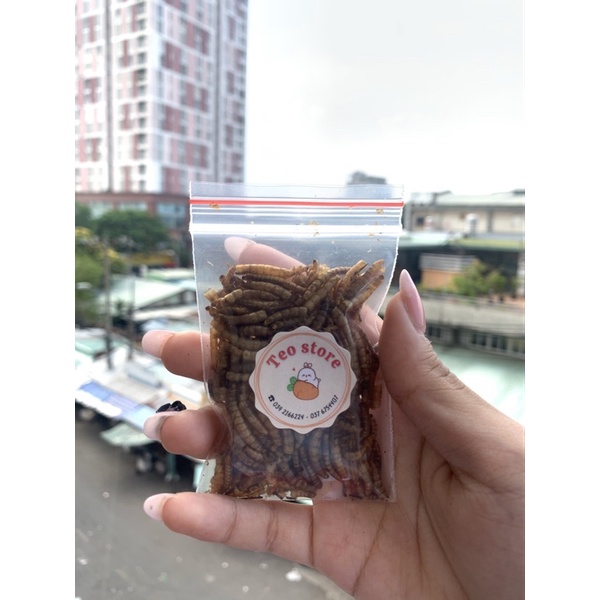sâu rang bơ size trung