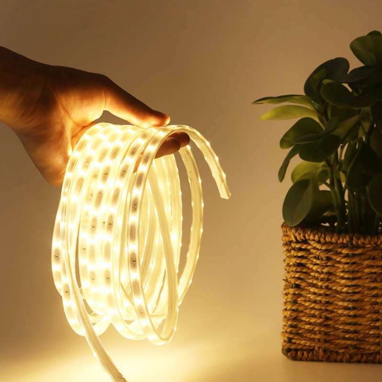 Đèn Led dây đôi 5730 siêu sáng 2 hàng