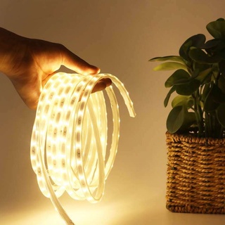 Đèn Led dây đôi 5730 siêu sáng 2 hàng ( Đơn giá / 1 mét /3 mét)