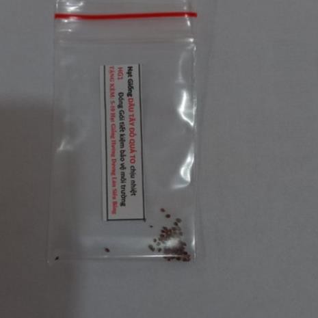 Gói 50 Hạt giống Dâu Tây Quả To, Chịu nhiệt  free ship toàn quốc hạt giống hoa