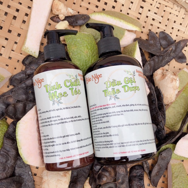 COMBO TINH CHẤT GỘI