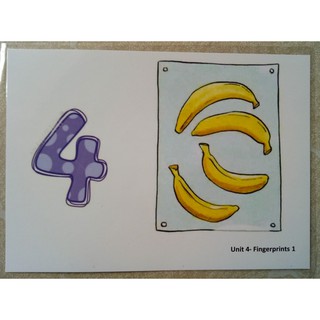Flashcard Fingerprints 1