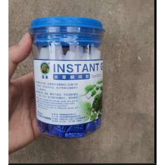 Keo Dán Rêu , Rêu Dán Kêu Thủy Sinh , Keo Thủy Sinh