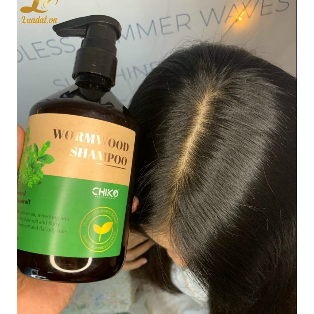 Combo cặp dầu gội đầu thảo dược nhân sâm ngải cứu chính hãng Chiko 500ml