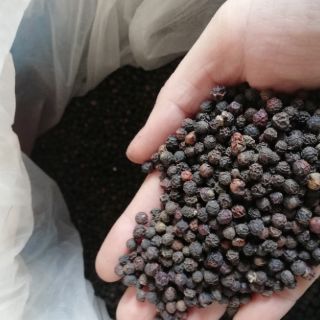 Hạt tiêu sạch Đăk Lăk 500g
