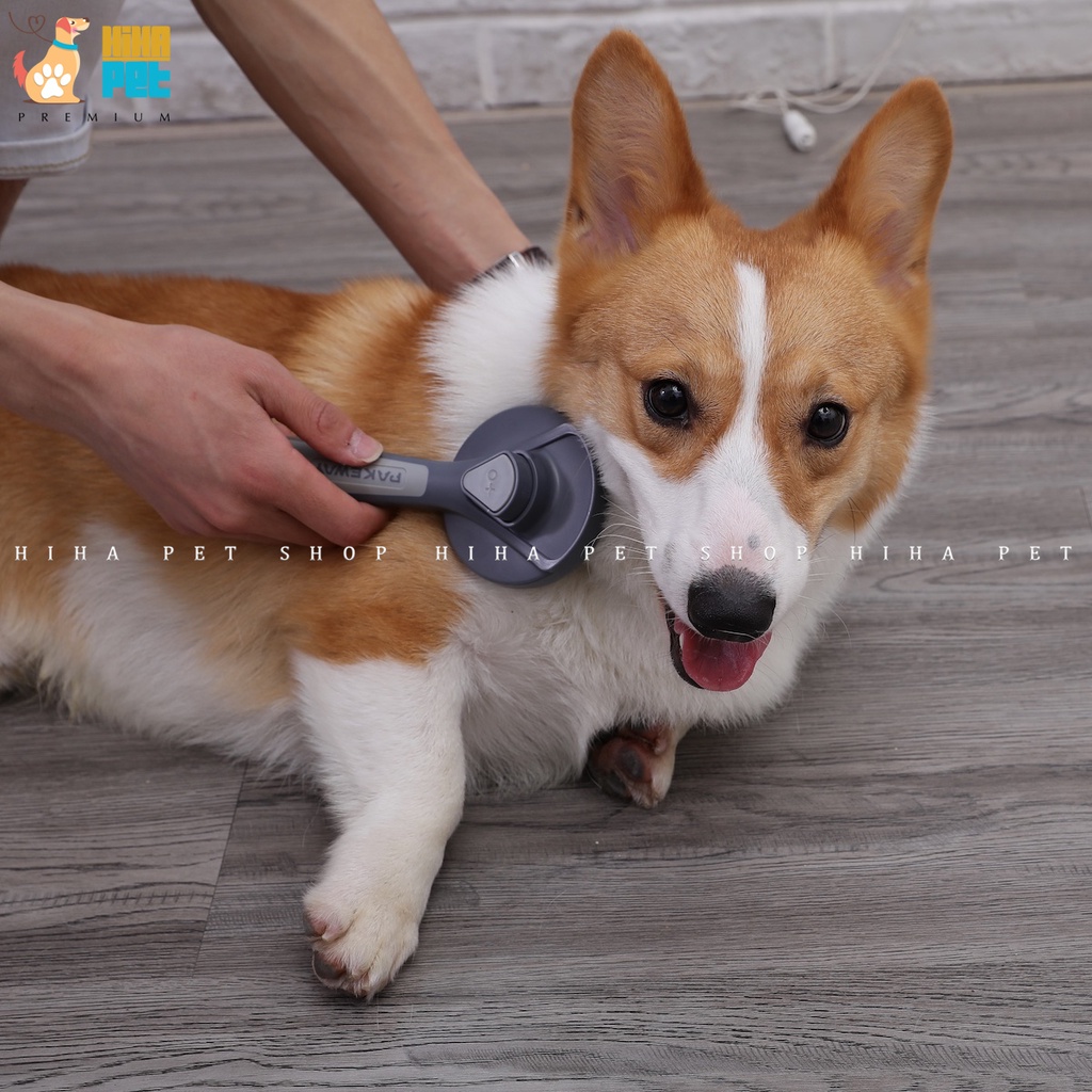 Lược Chải Lông Rối Cho Chó Mèo Có Nút Ấn Tự Động Chất Liệu Thép Không Gỉ Giá Rẻ.