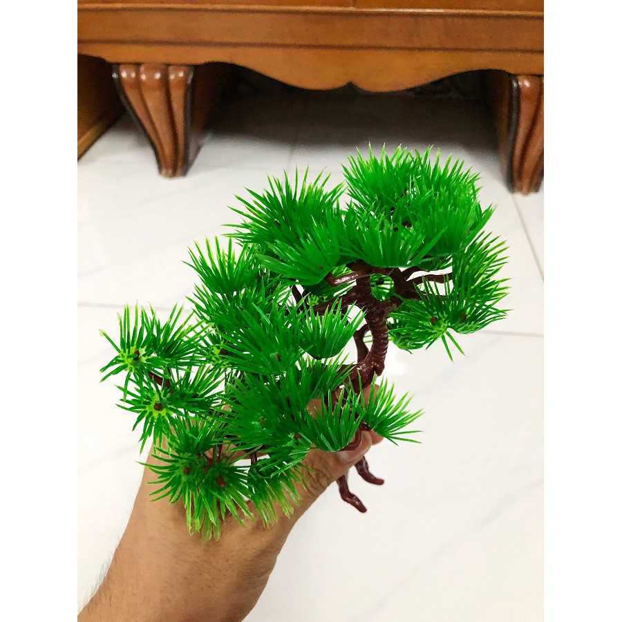 CÂY THÔNG TRANG TRÍ HỒ CÁ NON BỘ CAO 15CM