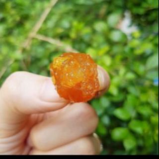 500g ô mai mận cơm- chua cay
