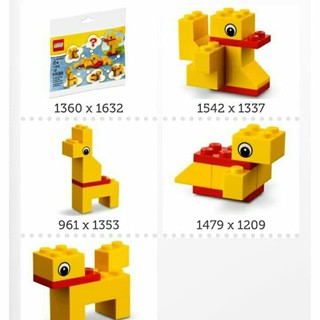 LEGO CREATOR - Chú Vịt