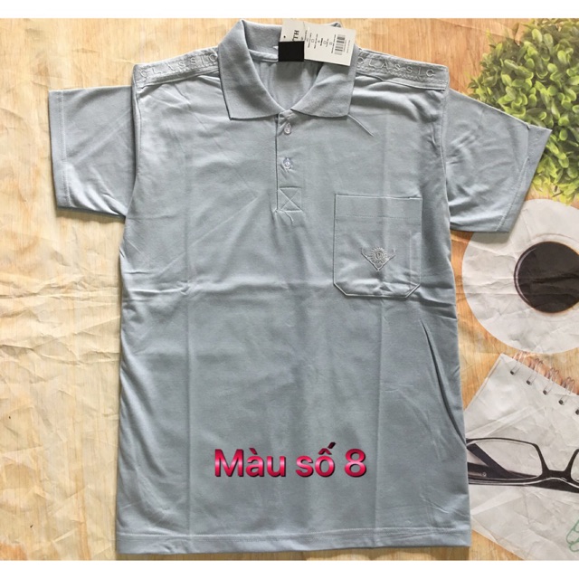 ÁO THUN NAM TRUNG NIÊN CÓ CỔ AOVI | BigBuy360 - bigbuy360.vn