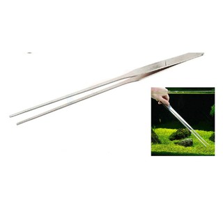NHÍP CẮM CÂY MŨI THẲNG