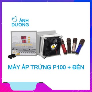 Máy ấp trứng mini Ánh Dương P100 tặng đèn soi - Ấp trứng gà, trứng cút, trứng vịt - máy đảo tay, tự lắp thùng xốp