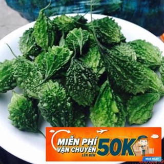 10 Hạt giống Khổ qua rừng