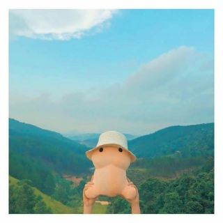 Gấu bông Ciu
