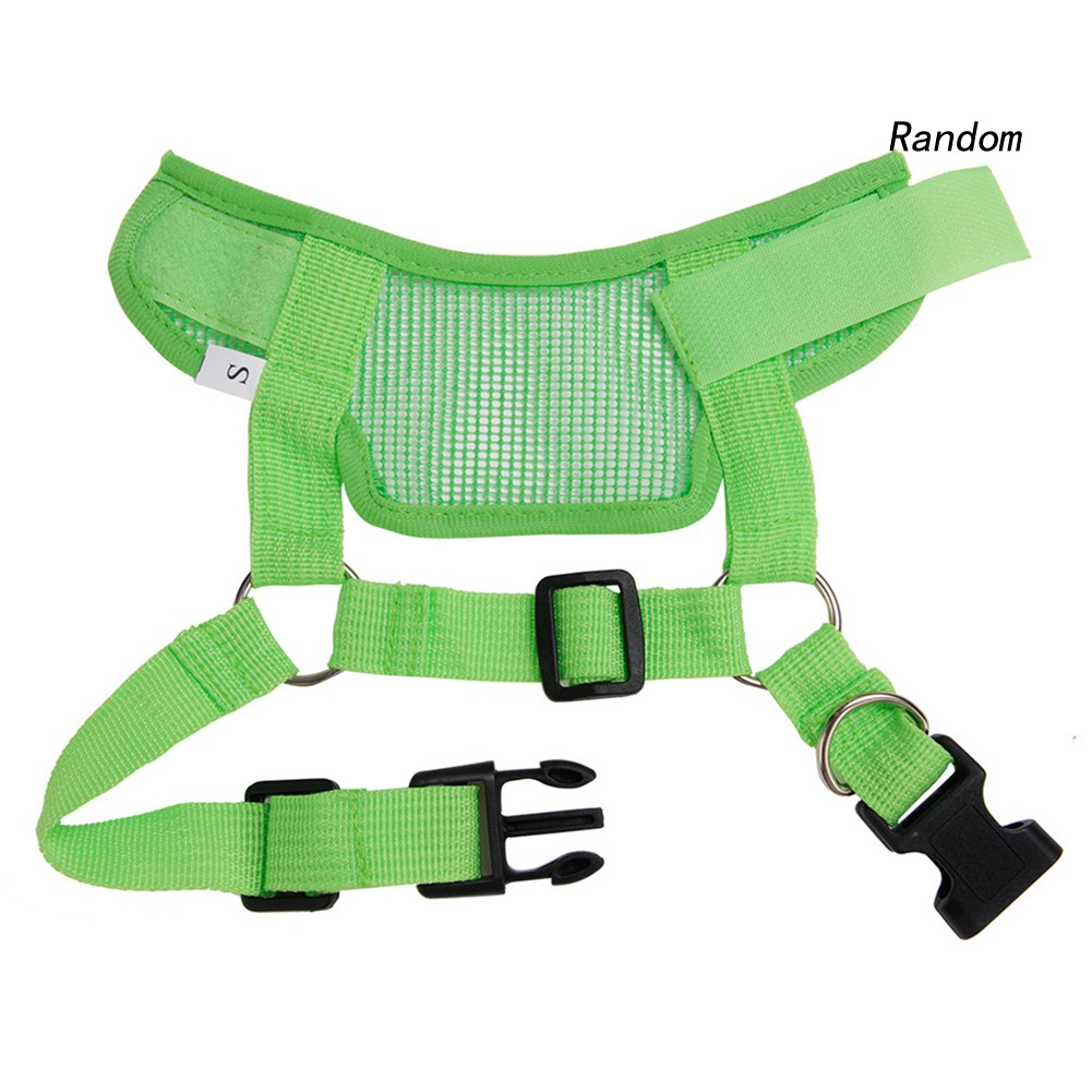 Đồ Rọ Mõm Bảo Vệ Chống Sủa Cho Thú Cưng