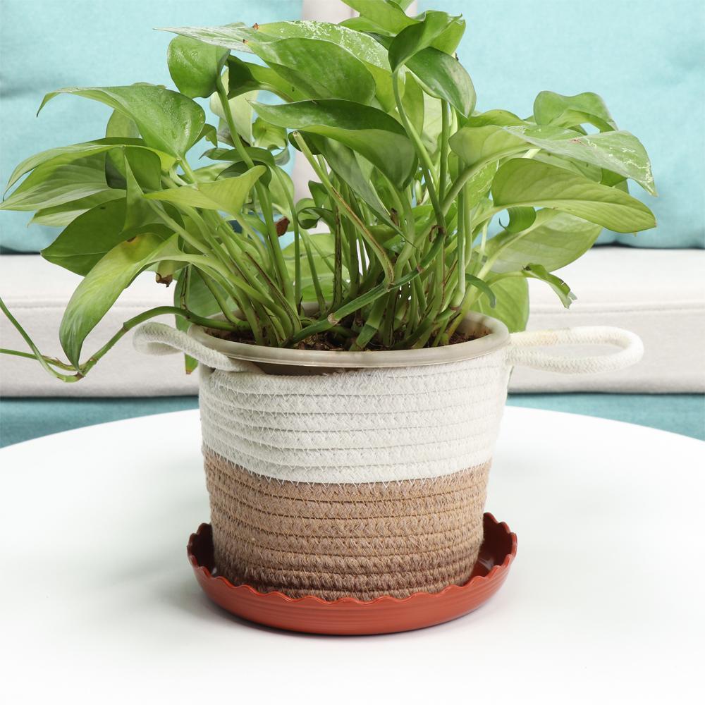 ZAIJIE24 Set 3 Khay Nhựa Tròn Đựng Đĩa / Nước Chấm Siêu Bền Tiện Dụng Cho Sân Vườn