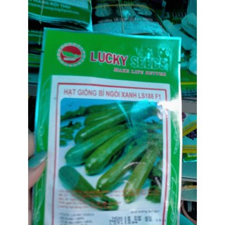hạt giống bí ngòi xanh