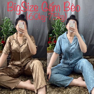 Đồ bộ bigsize pijama gấm bèo tnqd