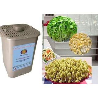 Máy làm giá đỗ - rau mầm sạch gv 103