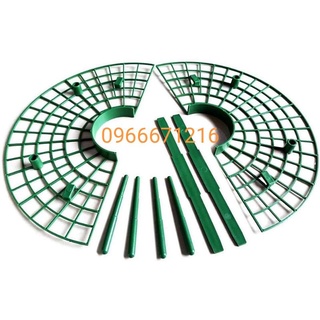 Khay đỡ dâu tây, rau diếp